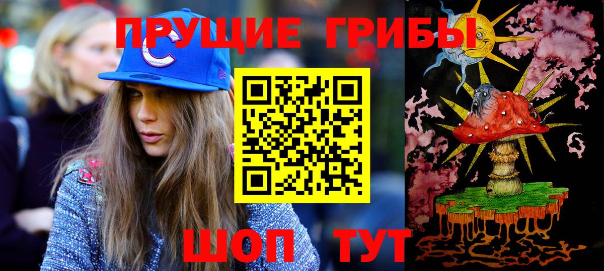 Липецк  Галлюциногенные грибы Cubensis  Псилоцибиновые грибы мицелий  Вход с VPN 