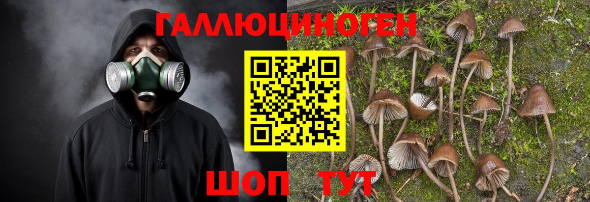 Псилоцибиновые грибы прущие грибы Липецк
